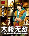 太极无敌封面