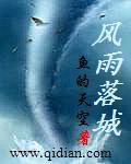 风雨落城封面