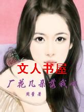 厂花几朵落我心封面