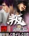 叛封面