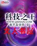 科技之王封面