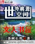 世外桃源空间封面