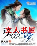 碧落仙梦封面