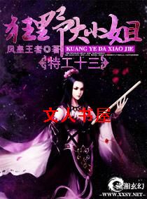 特工十三,狂野大小姐封面