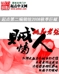 贼情人封面