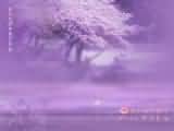 烟水寒封面