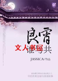良宵谁与共封面
