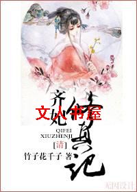 (清)齐妃修真记封面