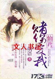 仙君,赌你爱我封面
