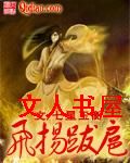 飞扬跋扈封面