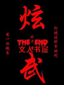 炫武都市封面
