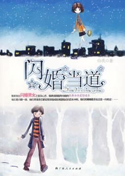 闪婚当道封面