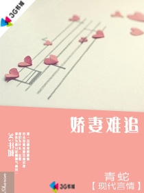 娇妻难追封面