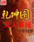 乾坤图封面
