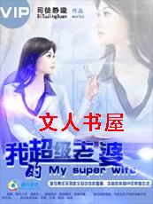 我的超级老婆封面