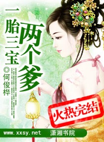 一胎三宝两个爹封面