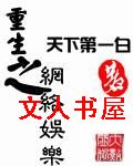 重生之网络娱乐封面