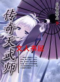 传奇天武师封面