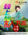 赖上仙山封面