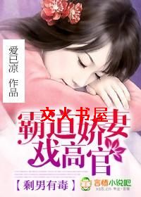 剩男有毒:霸道娇妻戏高官封面