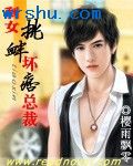 剩女挑衅坏痞总裁封面
