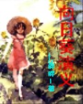 向日葵演义封面