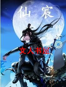 仙宸封面