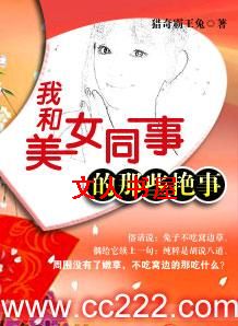 我和美女同事的那些事儿封面
