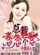 小妻迷人,总裁恋恋不忘封面