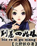 别惹四姑娘封面