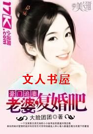 豪门追妻:老婆,复婚吧封面