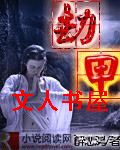 劫甲封面