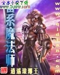 雷系魔法师封面