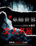 巫师世界封面