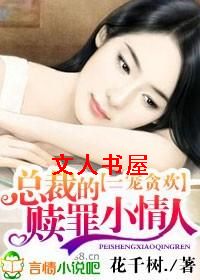 一宠贪欢,总裁的赎罪小情人封面