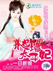 女人勇闯海盗窝:逃婚太子妃封面
