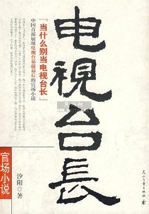 电视台长封面