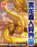 黄龙真人异界游封面