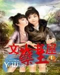 药王封面