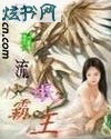 异界风流霸王封面