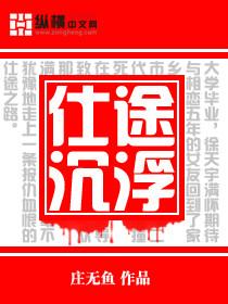 仕途沉浮封面