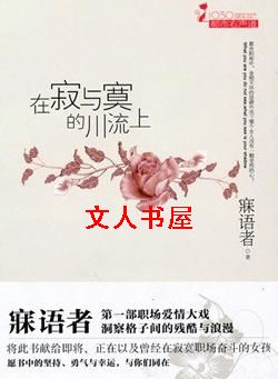 在寂与寞的川流上封面