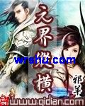 元界纵横封面