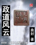 政道风云封面