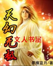 天幻无极封面