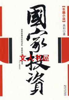 国家投资封面