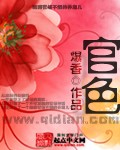 官色封面