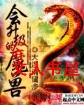 会升级的魔兽封面