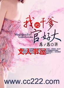 我的干爹官好大封面
