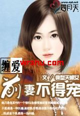 ����:ǰ�޲��ó����